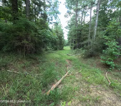 Ms-28, Pattison, MS 39144 photo 42