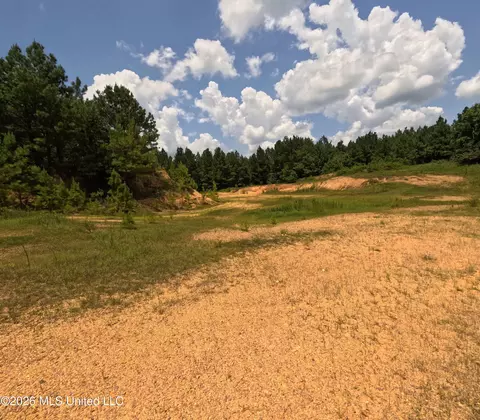 Ms-28, Pattison, MS 39144 photo 75