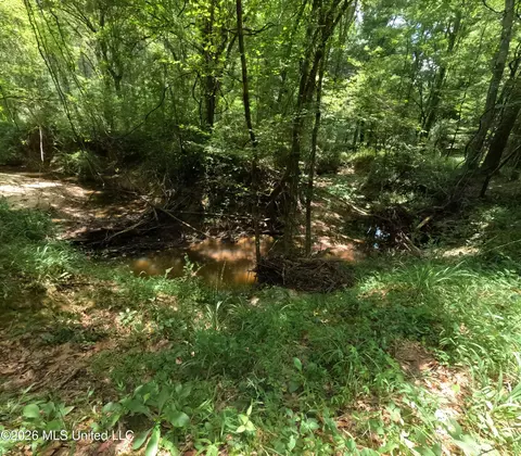 Ms-28, Pattison, MS 39144 photo 62