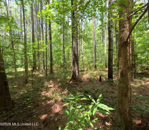 Ms-28, Pattison, MS 39144 photo 72