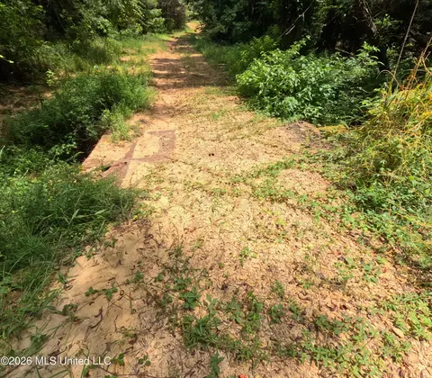 Ms-28, Pattison, MS 39144 photo 87