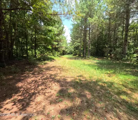 Ms-28, Pattison, MS 39144 photo 91