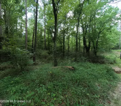 Ms-28, Pattison, MS 39144 photo 49