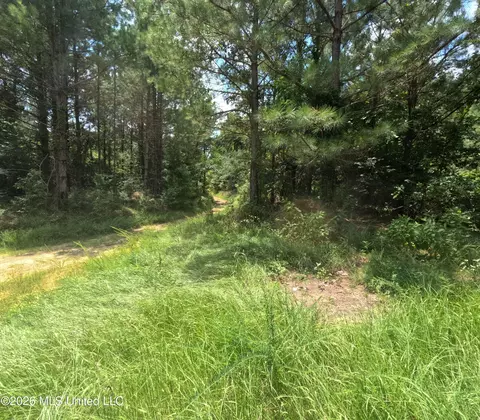 Ms-28, Pattison, MS 39144 photo 90