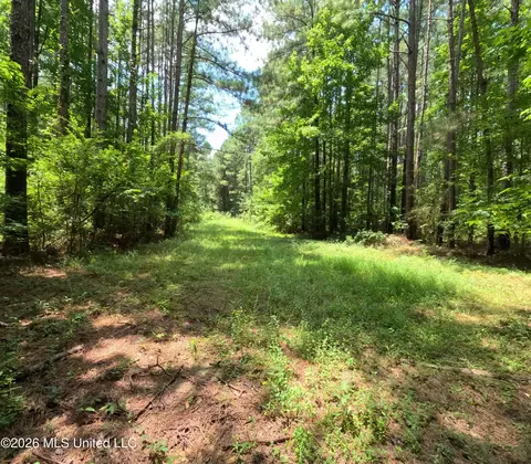 Ms-28, Pattison, MS 39144 photo 70