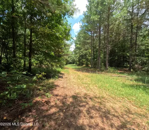 Ms-28, Pattison, MS 39144 photo 93