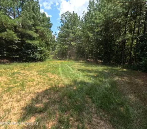 Ms-28, Pattison, MS 39144 photo 98
