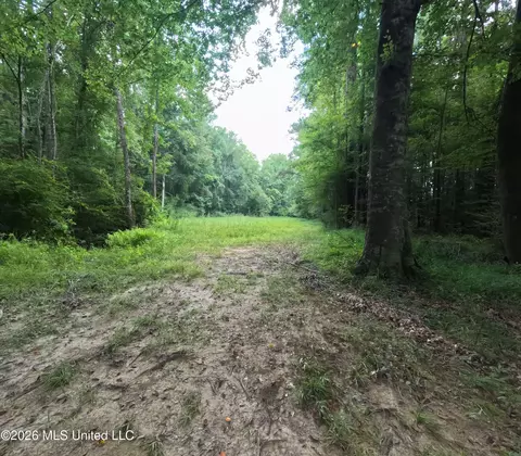 Ms-28, Pattison, MS 39144 photo 46