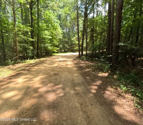Ms-28, Pattison, MS 39144 photo 103