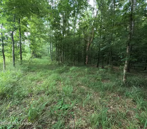 Ms-28, Pattison, MS 39144 photo 37