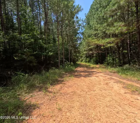 Ms-28, Pattison, MS 39144 photo 81