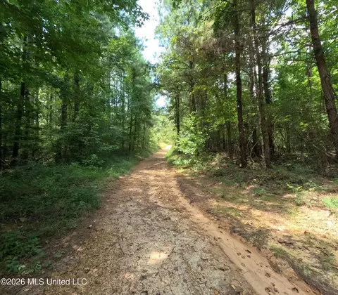 Ms-28, Pattison, MS 39144 photo 85