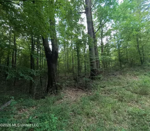Ms-28, Pattison, MS 39144 photo 50