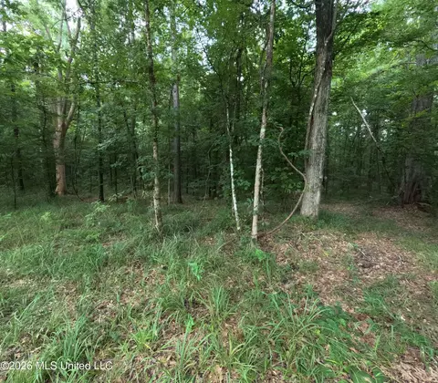 Ms-28, Pattison, MS 39144 photo 38