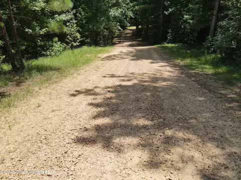 Ms-28, Pattison, MS 39144 photo 30