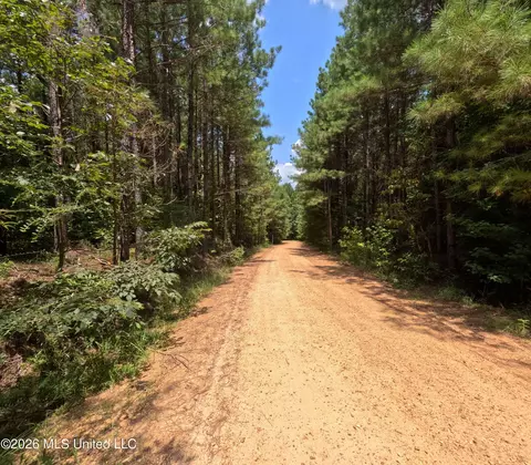 Ms-28, Pattison, MS 39144 photo 99