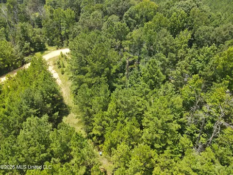 Ms-28, Pattison, MS 39144 photo 29