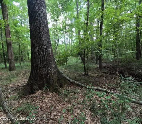 Ms-28, Pattison, MS 39144 photo 31