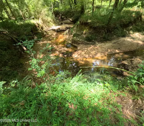 Ms-28, Pattison, MS 39144 photo 69