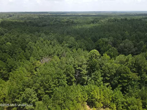 Ms-28, Pattison, MS 39144 photo 12