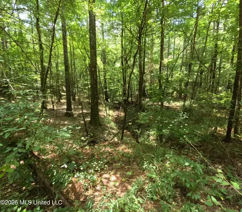 Ms-28, Pattison, MS 39144 photo 102