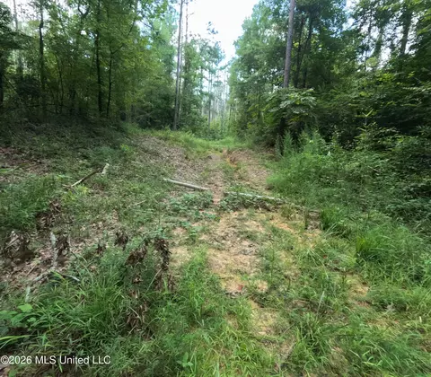 Ms-28, Pattison, MS 39144 photo 51
