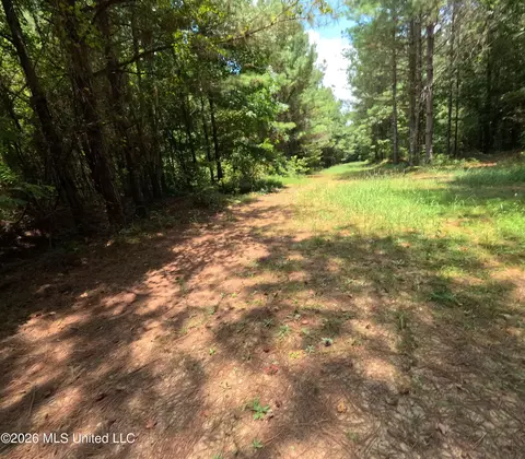 Ms-28, Pattison, MS 39144 photo 95