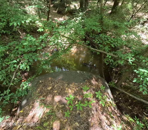 Ms-28, Pattison, MS 39144 photo 100