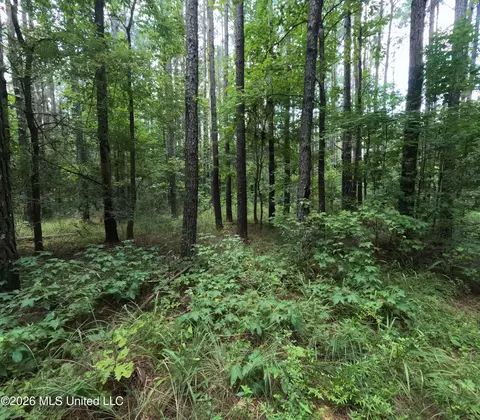Ms-28, Pattison, MS 39144 photo 52