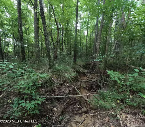 Ms-28, Pattison, MS 39144 photo 32