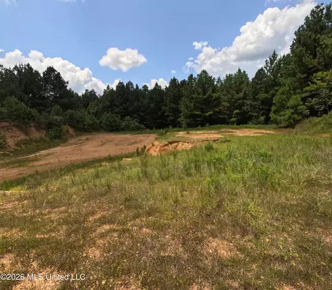 Ms-28, Pattison, MS 39144 photo 77