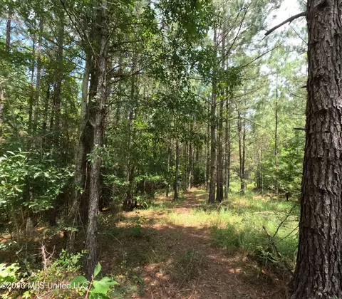 Ms-28, Pattison, MS 39144 photo 96