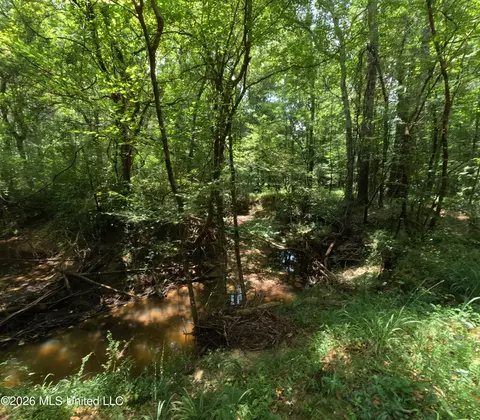 Ms-28, Pattison, MS 39144 photo 63