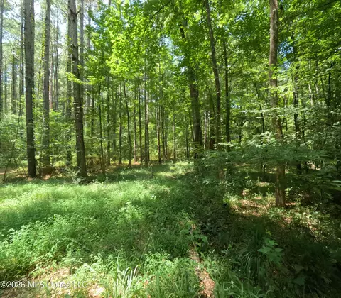 Ms-28, Pattison, MS 39144 photo 67