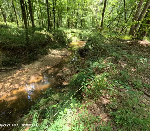 Ms-28, Pattison, MS 39144 photo 68