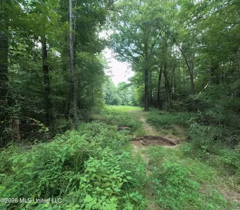 Ms-28, Pattison, MS 39144 photo 45