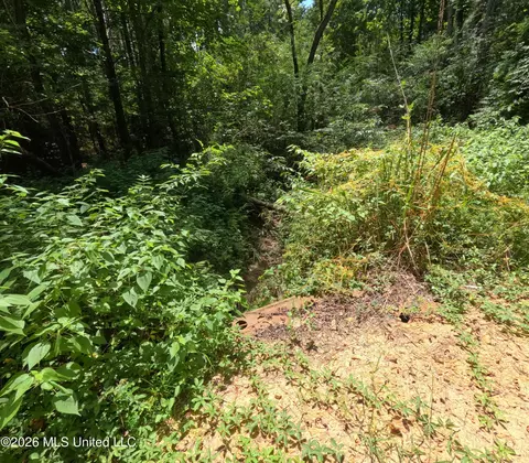 Ms-28, Pattison, MS 39144 photo 89