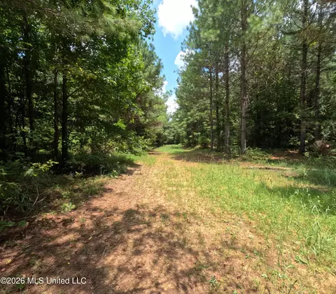 Ms-28, Pattison, MS 39144 photo 92