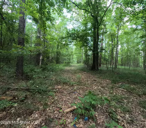 Ms-28, Pattison, MS 39144 photo 40