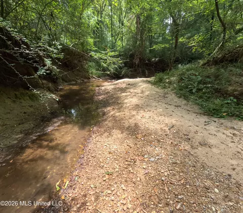 Ms-28, Pattison, MS 39144 photo 57