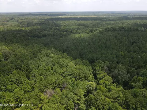 Ms-28, Pattison, MS 39144 photo 4