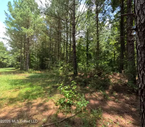 Ms-28, Pattison, MS 39144 photo 94