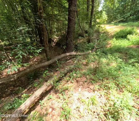 Ms-28, Pattison, MS 39144 photo 84