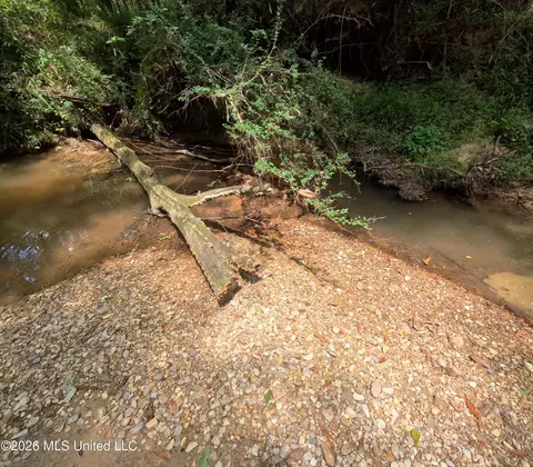 Ms-28, Pattison, MS 39144 photo 58