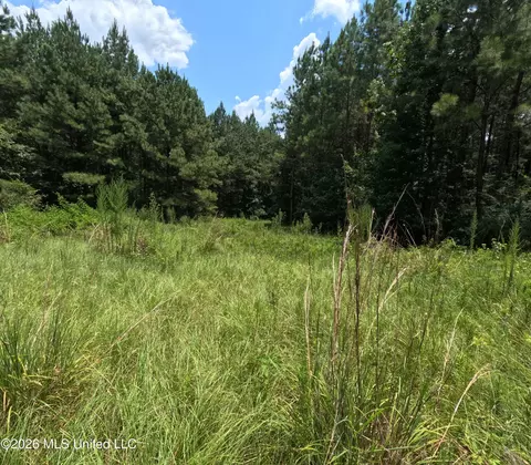 Ms-28, Pattison, MS 39144 photo 80