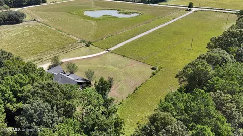 Other - 126 Poor Man Rd, Lucedale, MS 39452 photo 15 of 18
