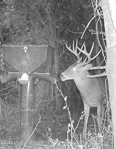 Other - 901 Sharon Rd, Canton, MS 39046 photo 26 of 26