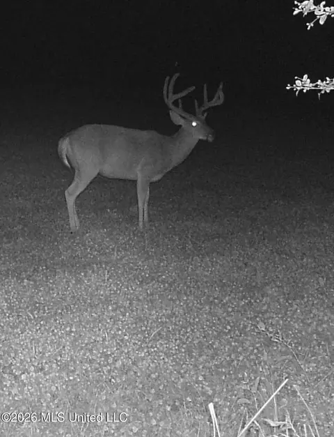 Other - 901 Sharon Rd, Canton, MS 39046 photo 13 of 26
