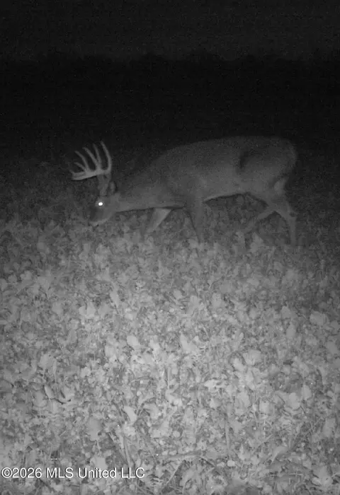 Other - 901 Sharon Rd, Canton, MS 39046 photo 22 of 26