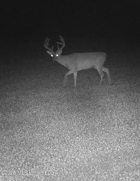 Other - 901 Sharon Rd, Canton, MS 39046 photo 25 of 26